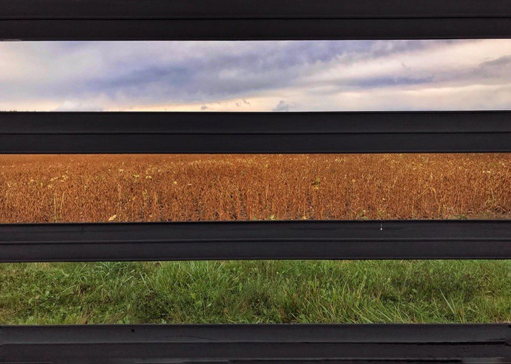 Những hình ảnh hoàn hảo đến khó tin trong cuộc sống - 3