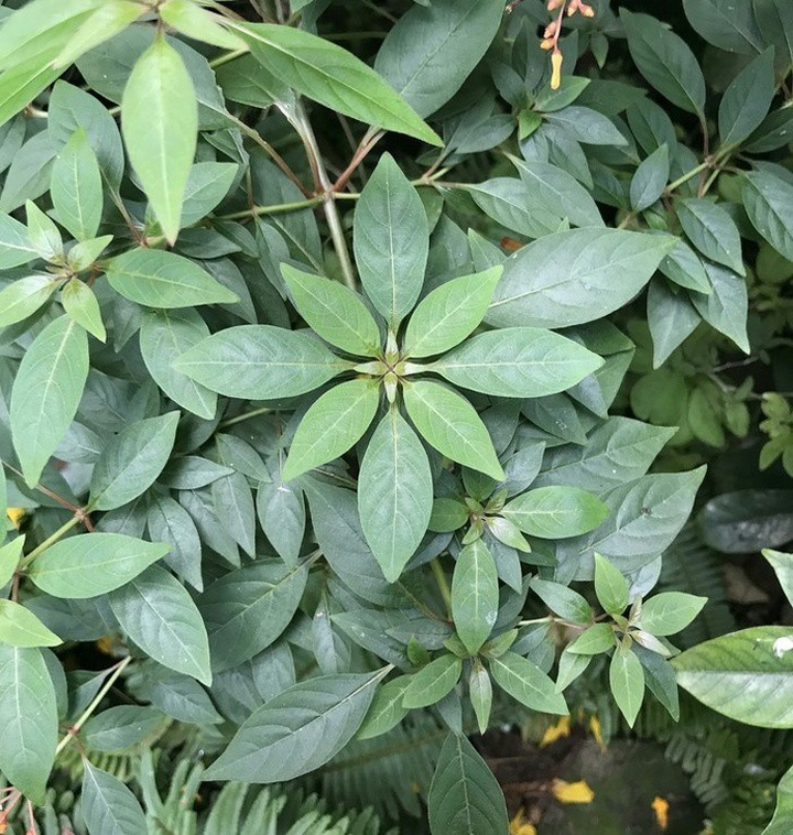 Những hình ảnh hoàn hảo đến khó tin trong cuộc sống - 5