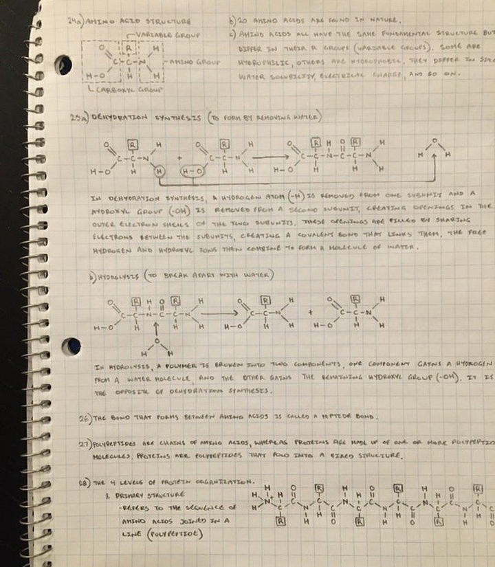 Những hình ảnh hoàn hảo đến khó tin trong cuộc sống - 6