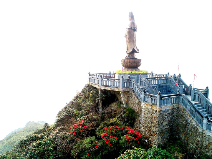 Cách ly xã hội, đừng quên mùa đỗ quyên đẹp rực rỡ ở Fansipan - 7