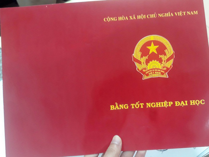 Bác sĩ khoa Cấp cứu dùng 2 bằng giả để hành nghề - 1