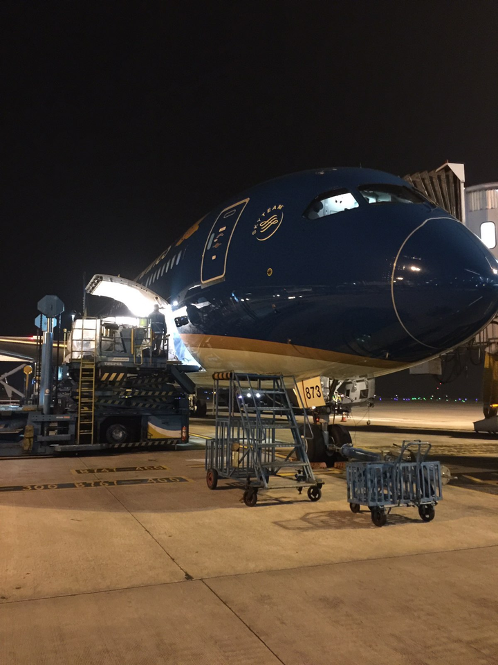 Vietnam Airlines vận chuyển công dân Đức, Liên minh châu Âu hồi hương - 7