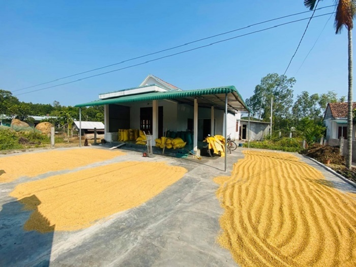 Sao Việt vui vẻ làm công việc nhà nông trong những ngày tránh dịch COVID-19 - 8