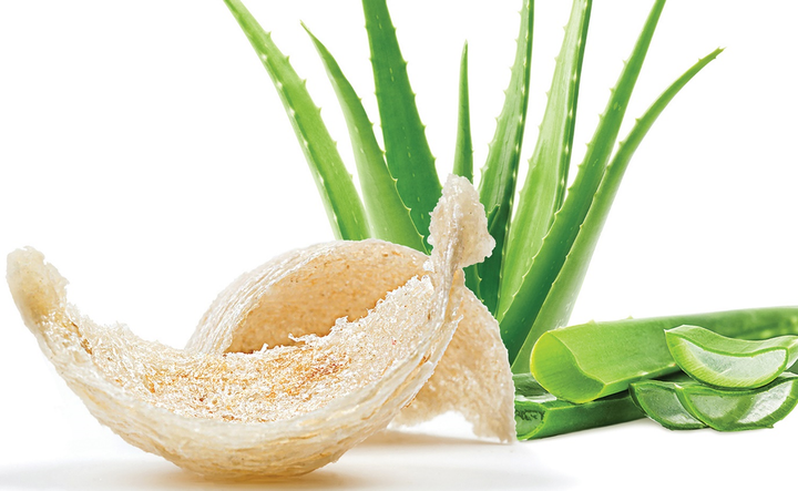 Tăng cường đề kháng và thanh mát cơ thể với nước trái cây JOCO - 1