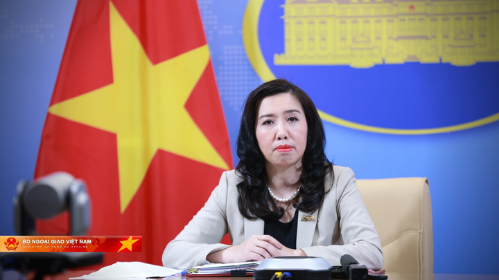 Dịch COVID-19: Gần 1.500 công dân Việt Nam bị 'mắc kẹt' về nước an toàn - 1