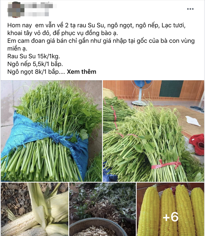 COVID-19: Siêu thị lớn giảm mạnh doanh thu, 'chợ' online tấp nập mua bán - 3