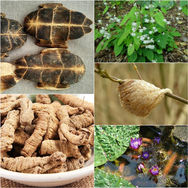 Giải mã lý do để viên ngậm tăng cường sinh lực hiện dẫn đầu thị trường - 3