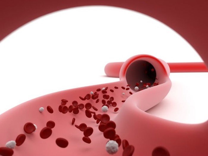 Tác dụng phụ của việc ngồi một chỗ quá lâu ai cũng nên biết - 5