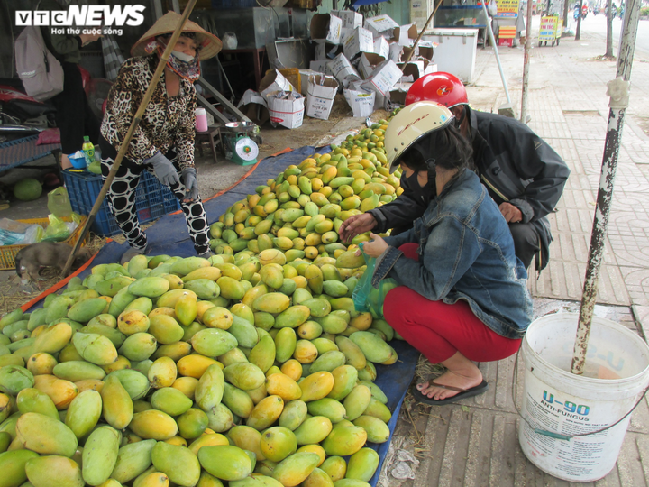 Không tiêu thụ được vì COVID-19, xoài 'đổ bộ' TP.HCM chờ... 'giải cứu' - 3