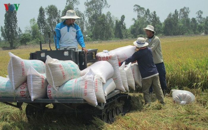 COVID-19 mang lại cơ hội gì cho nông nghiệp Việt? - 1