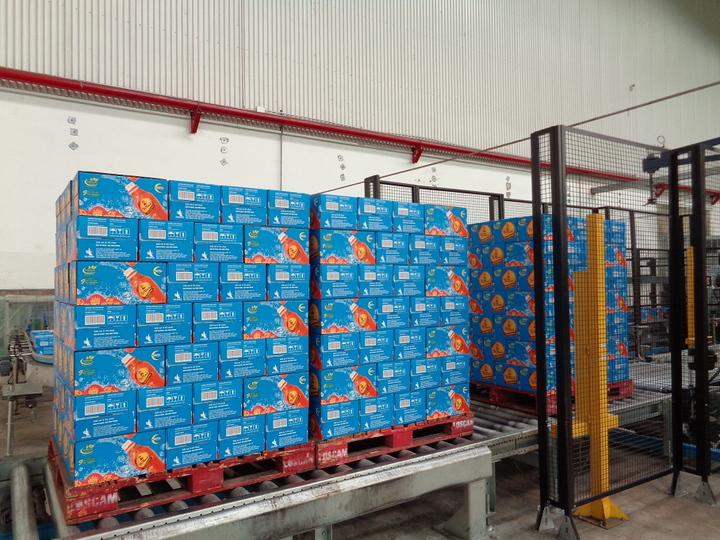 Trà Dr Thanh được sản xuất thế nào trong mùa dịch? - 8