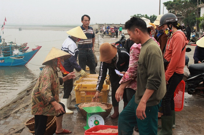 Cảng cá Hà Tĩnh đông đúc, dân vô tư không đeo khẩu trang giữa mùa dịch COVID-19 - 1