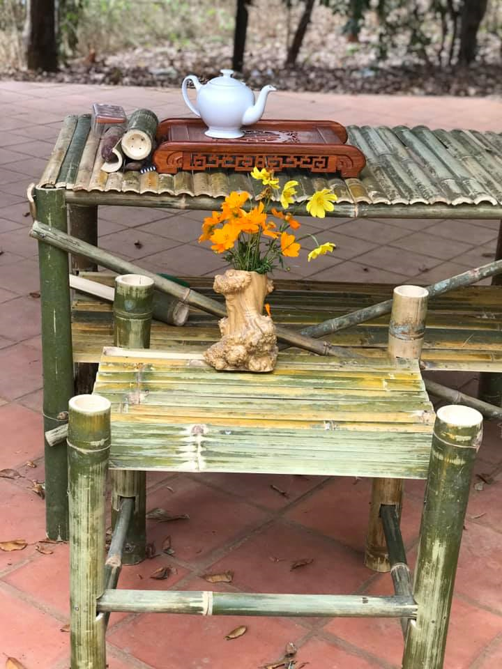 Diễn viên phim 'Bi, đừng sợ' cải tạo mảnh vườn 5000 m2 thành vườn cây ăn quả - 4