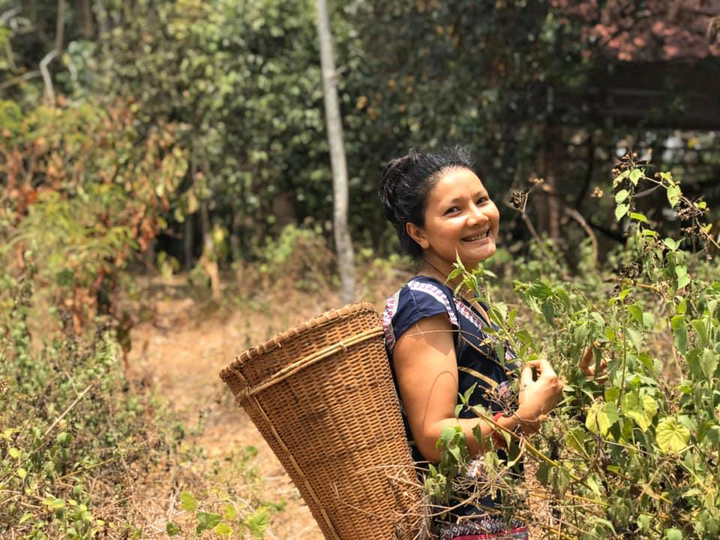 Diễn viên phim 'Bi, đừng sợ' cải tạo mảnh vườn 5000 m2 thành vườn cây ăn quả - 5