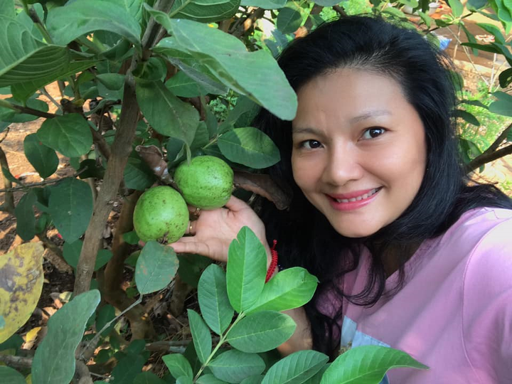 Diễn viên phim 'Bi, đừng sợ' cải tạo mảnh vườn 5000 m2 thành vườn cây ăn quả - 10