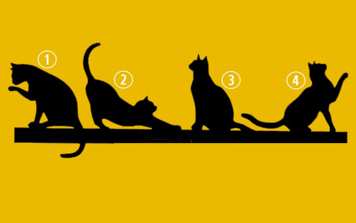 Trắc nghiệm vui: Con mèo thu hút nhất tiết lộ mục đích sống của bạn - 1