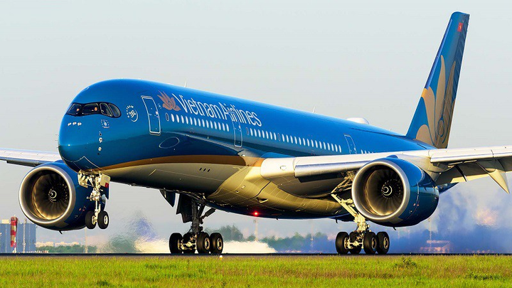 Đề xuất bảo hộ Vietnam Airlines: Muốn cứu cũng phải cứu hợp pháp - 1