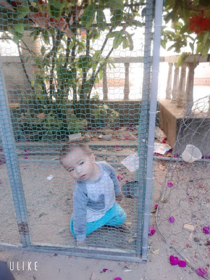 'Cười té ghế' 1001 kiểu trông con của bố mẹ thời COVID-19 - 4