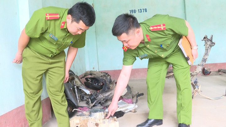 Chăn nuôi thất bát, hai vợ chồng rủ nhau trộm 16 xe máy - 3