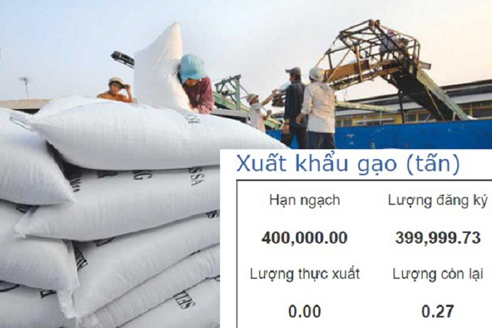 Ham xuất khẩu, nhiều doanh nghiệp 'bùng' bán gạo cho dự trữ nhà nước - 1