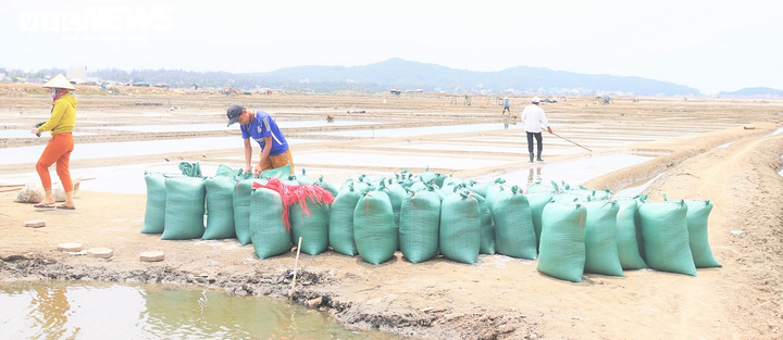 Bán 50kg muối chỉ đủ mua 2kg gạo, diêm dân Sa Huỳnh khóc ròng - 6