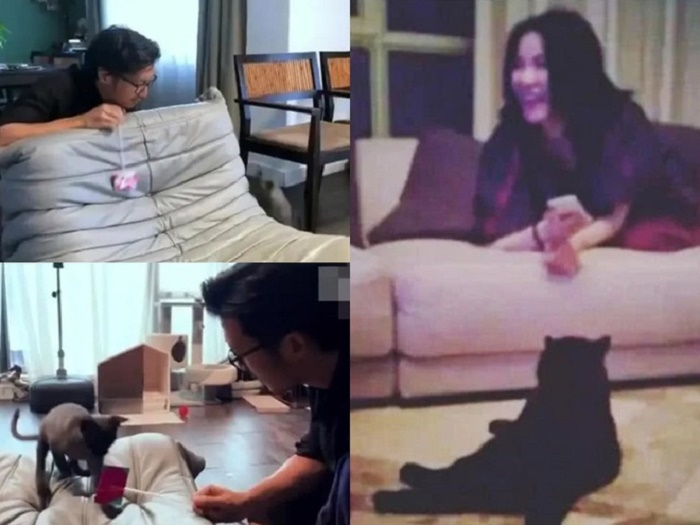 Dấu hiệu tình cảm vẫn mặn nồng của Tạ Đình Phong và Vương Phi - 2