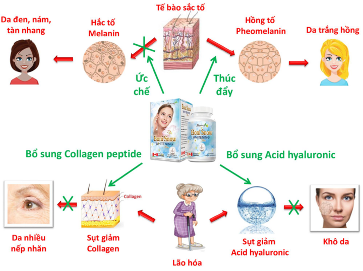 BoniSnow giúp da trắng hồng giá bao nhiêu? - 4