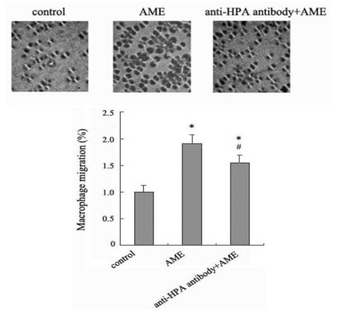 Plantimun tăng cường sức đề kháng mùa dịch: Chuyên gia nói gì? - 3