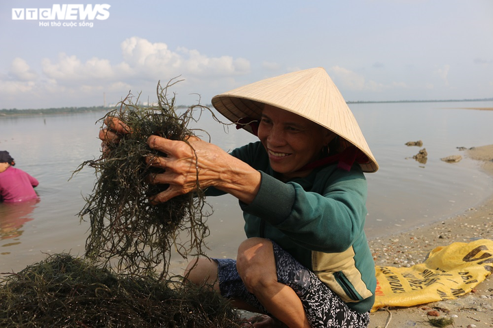 Ảnh: Hái ra tiền nhờ nghề vớt rong câu trên sông Trường Giang - 6