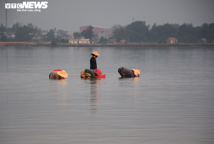 Ảnh: Hái ra tiền nhờ nghề vớt rong câu trên sông Trường Giang - 10
