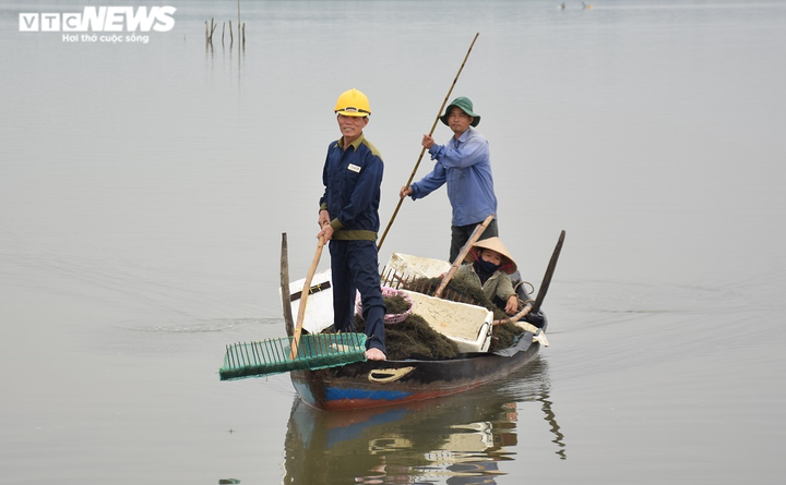 Ảnh: Hái ra tiền nhờ nghề vớt rong câu trên sông Trường Giang - 3
