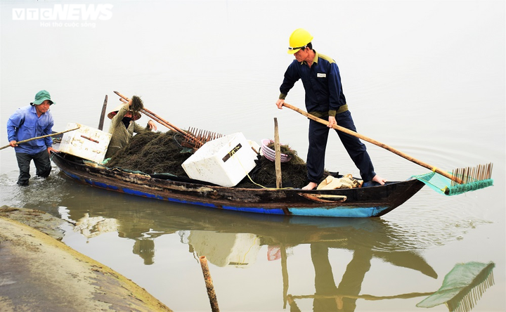 Ảnh: Hái ra tiền nhờ nghề vớt rong câu trên sông Trường Giang - 1