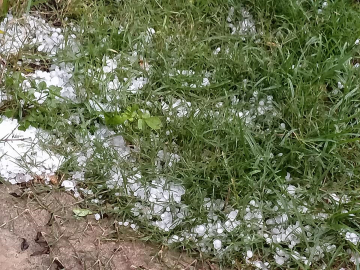 Mưa đá 30 phút ở Sơn La, đá trắng xoá đường, mận rụng tơi tả - 1