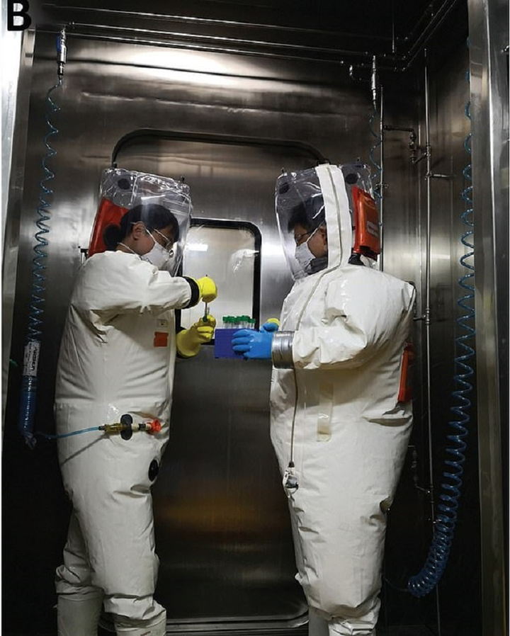 Bí ẩn phòng thí nghiệm nghi là nơi phát tán virus SARS-CoV-2 ở Vũ Hán - 2