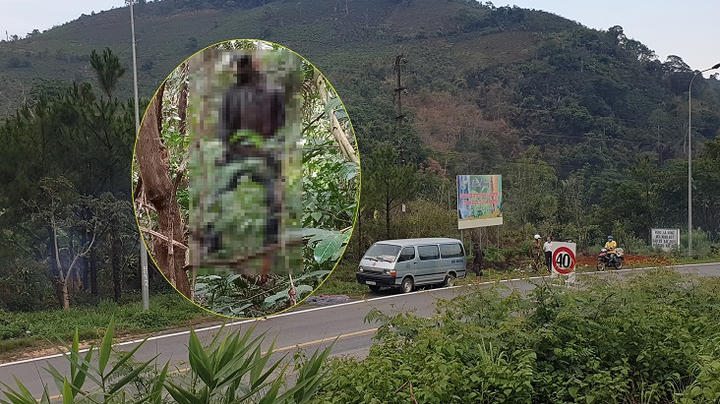 Phát hiện thi thể người treo cổ trên đèo Bảo Lộc - 1