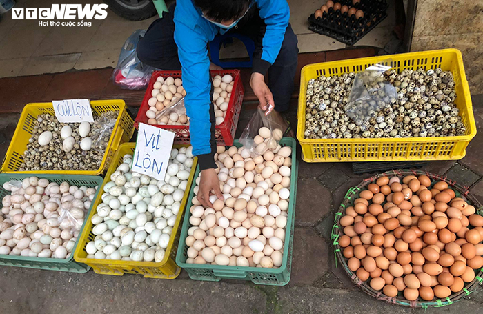 Giá trứng lao dốc, người chăn nuôi tính chuyện phá đàn - 2