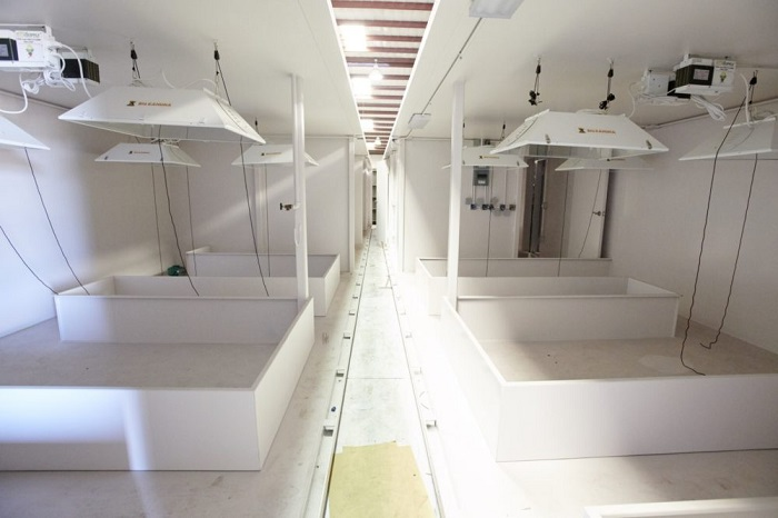 Sợ COVID-19, nhà giàu Mỹ đổ tiền mua hầm trú ẩn dưới lòng đất - 2