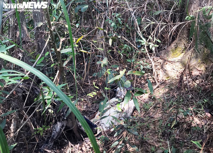 Phát hiện bộ xương người trên núi ở Đà Nẵng - 1