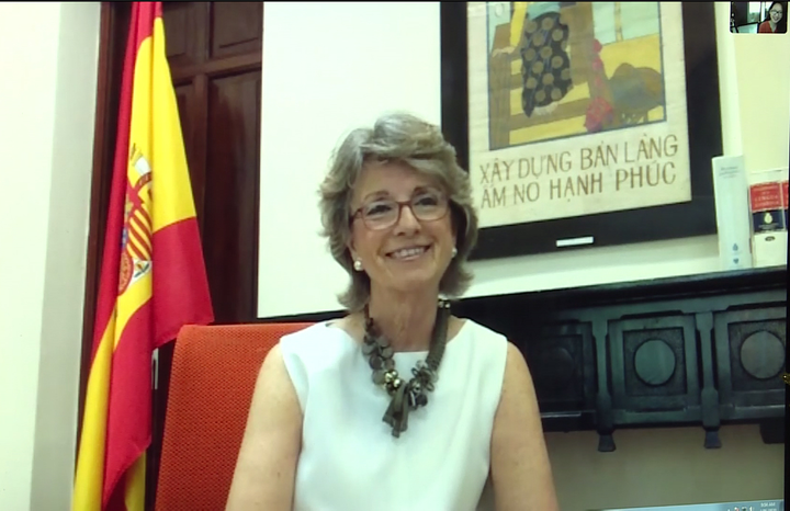 Đại sứ Tây Ban Nha: Món quà khẩu trang rất thiết thực, xin cảm ơn Việt Nam - 2