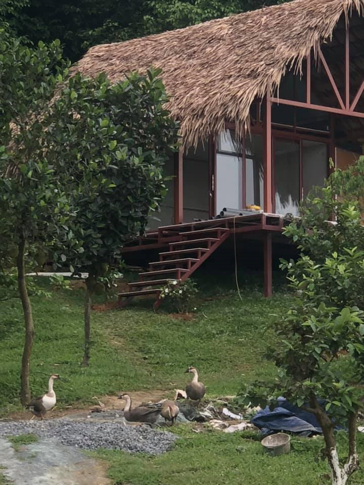 NSƯT Việt Hoàn làm nhà tranh vách đất trong trang trại rộng 10.000 m2 - 3