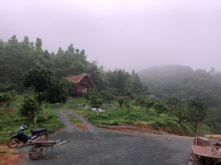 NSƯT Việt Hoàn làm nhà tranh vách đất trong trang trại rộng 10.000 m2 - 2