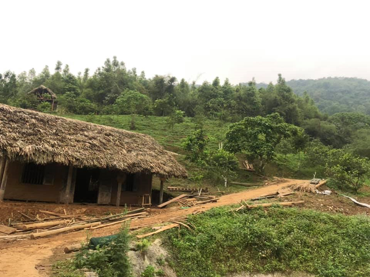 NSƯT Việt Hoàn làm nhà tranh vách đất trong trang trại rộng 10.000 m2 - 7