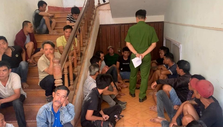 Hàng chục trinh sát đột kích trường gà ở Gia Lai, bắt giữ 49 con bạc - 1