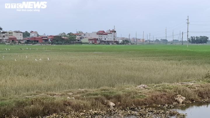 Rác thải đổ trộm tràn lan khiến dân Bắc Ninh ăn không ngon, ngủ không yên - 2