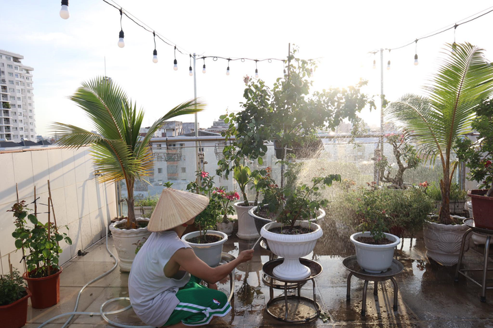 Nghỉ tránh dịch COVID-19, Phan Hiển bỏ trăm triệu đồng trồng vườn hồng tặng vợ - 2