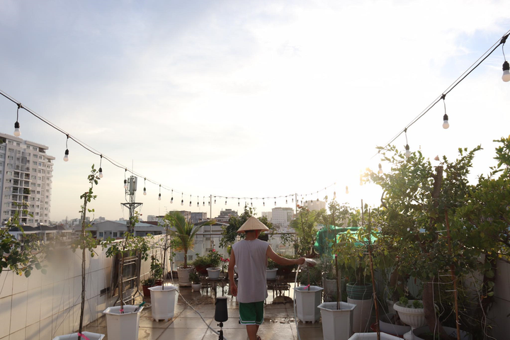 Nghỉ tránh dịch COVID-19, Phan Hiển bỏ trăm triệu đồng trồng vườn hồng tặng vợ - 3