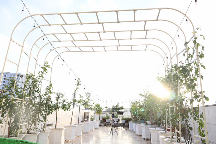 Nghỉ tránh dịch COVID-19, Phan Hiển bỏ trăm triệu đồng trồng vườn hồng tặng vợ - 4