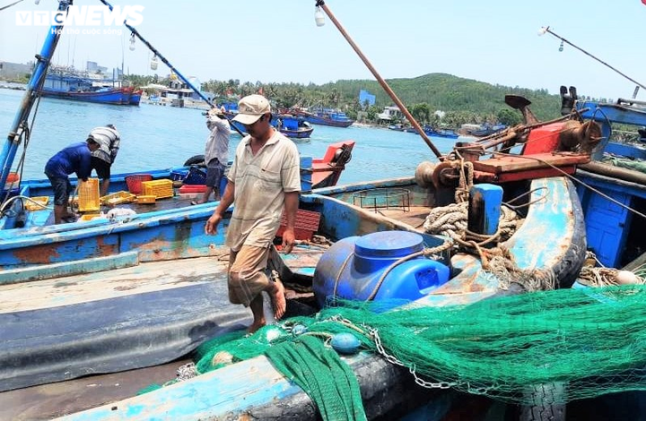 Cận cảnh ‘nghĩa địa’ tàu cá ở Sa Huỳnh - 7