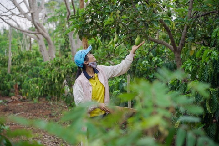 H'Hen Niê bức xúc khi bị mạo danh - 2