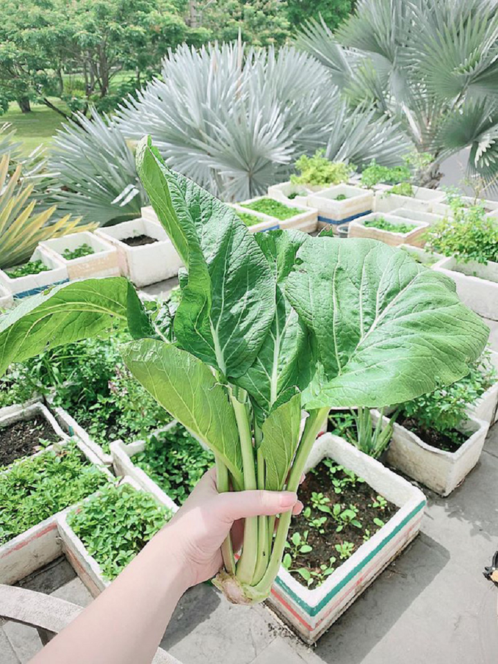 Bảo Thy 'khoe' biệt thự như lâu đài - 3
